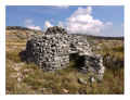 bunja (Brač kof Milne)